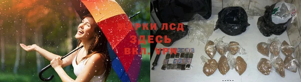 прущие крисы Алапаевск