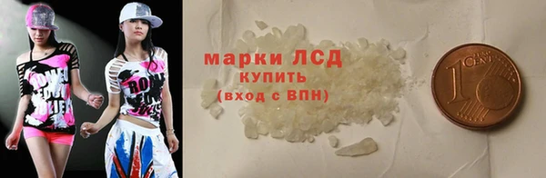 молекула духа Вяземский