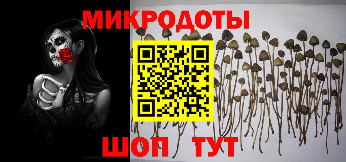 Галлюциногенные грибы прущие грибы  Вход с VPN  Апшеронск 
