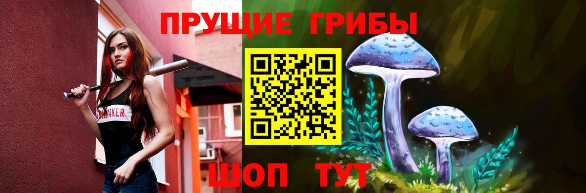 Псилоцибиновые грибы мухоморы Апшеронск